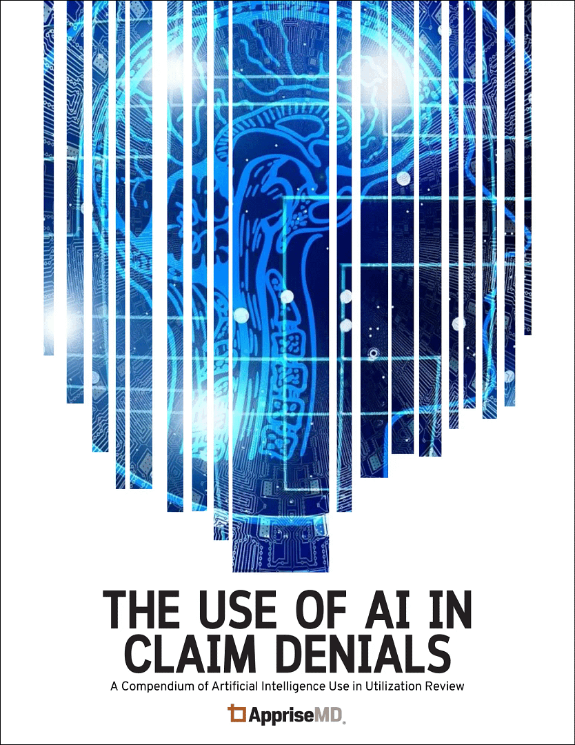 The Use of AI in Claims Data white paper cover image